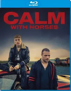 Calm with Horses (2019)