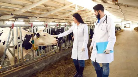 Certificate Course in Veterinary Pharmacovigilance