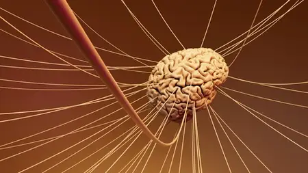 Emotional Intelligence : How To Control Your Emotions