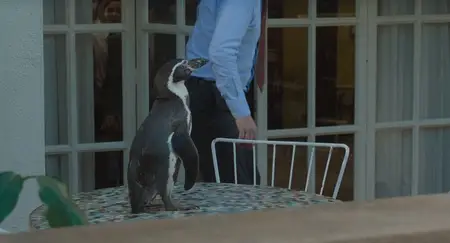 The Penguin Lessons (2024)