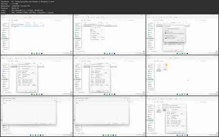 Windows 11: Security [Updated: 6/24/2025]