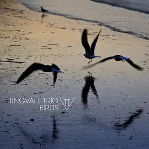 Tingvall Trio - Birds (2023)