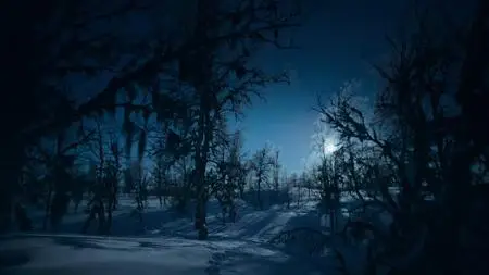 Earth at Night in Color S02E06