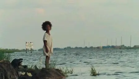 Re della terra selvaggia (2012)
