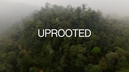 Uprooted: The Olympic Tribe (2021)