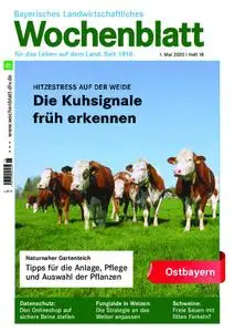 Bayerisches Landwirtschaftliches Wochenblatt Ostbayern - 29. April 2020