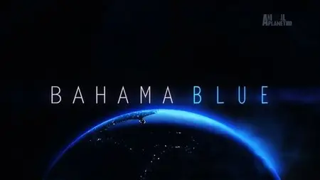 Discovery Channel - Bahama Blue: Series 1 (2015)