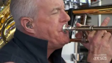 Chicago - New Orleans Jazz & Heritage Festival  2015 [HDTV, 1080i]