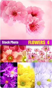 Stock Photo - Flowers 4