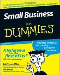 Small Business For Dummies (3rd edition)
