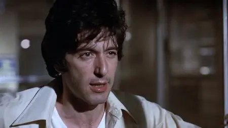 Dog Day Afternoon (1975) [ReUp]