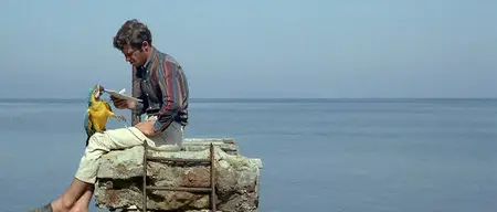 Pierrot le fou (1965)