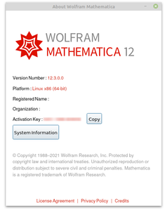 Wolfram Mathematica 12.3.0 Multilingual Linux