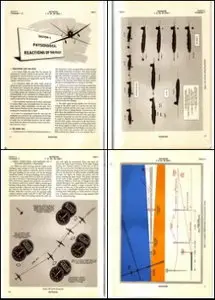 Instrument Flying Basic and Advanced