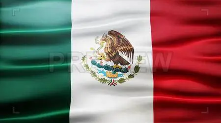 Mexico Flag