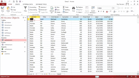 infiniteskills - Advanced Microsoft Access 2013
