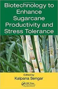 Biotechnology to Enhance Sugarcane Productivity and Stress Tolerance