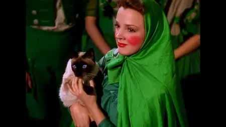 The Wizard of Oz - 70th Anniversary Ultimate Collector's Edition (1939) [RE-UP]