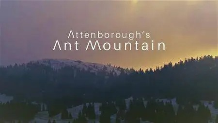 Terra Mater - Attenboroughs Ant Mountain (2017)