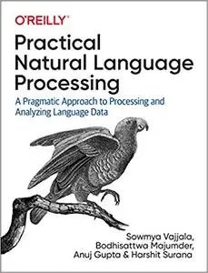 Practical Natural Language Processing [Early Release]