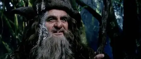 The Hobbit: An Unexpected Journey / Der Hobbit - Eine unerwartete Reise (2012)