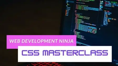 Learn the basics of CSS | Web Development Ninja | part 2