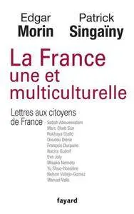 Edgar Morin, Patrick Singaïny, "La France une et multiculturelle: Lettres aux citoyens de France"
