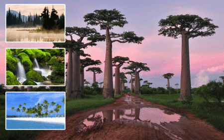 Amazing Landscapes Wallpapers IV