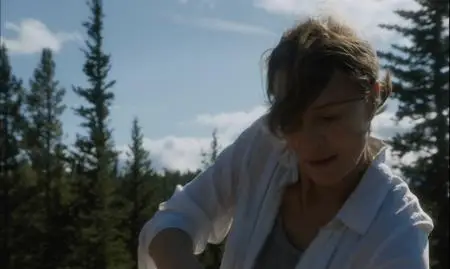 Land (2021)