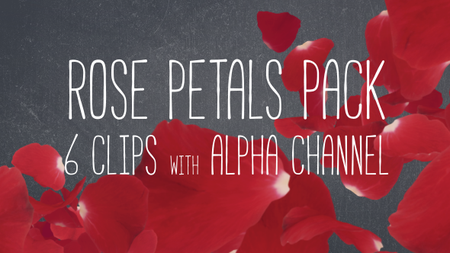 Rose Petals Pack - Motion Graphics (VideoHive)