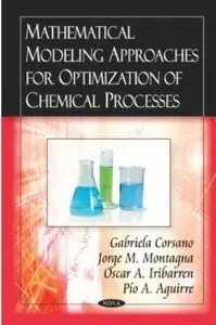 Mathematical Modeling Approaches for Optimization of Chemical Processes [Repost]