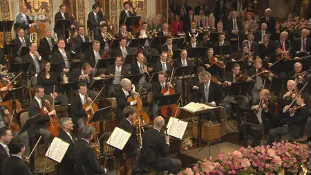 Neujahrskonzert der Wiener Philarmoniker / Vienna Philharmonic. New Year's Concert (2013)