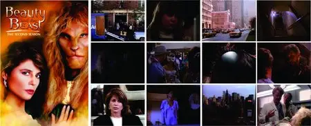 Beauty And The Beast - The First Season - From episode 11 to 22 [Dvdrip § English] (Tv series) → Repost