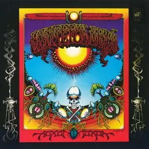 Grateful Dead - The Warner Brothers Studio Albums - 1967 - 1970 - 24/96 & 16/44.1 - 180g 5LP Box Set - 2010