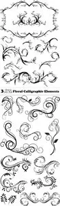 Vectors - Floral Calligraphic Elements