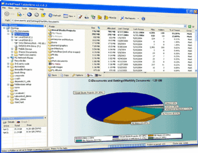 FolderSizes 5.0.73 Pro Portable