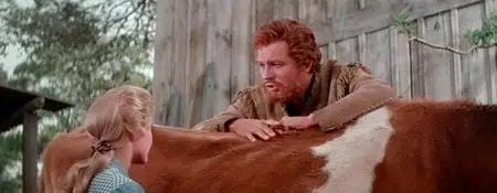 Seven Brides for Seven Brothers (1954)