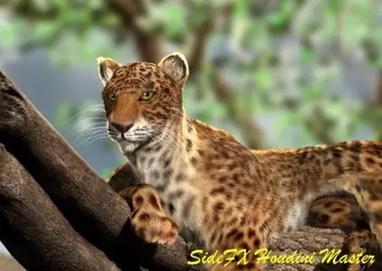 SideFX Houdini Master 12.0.683 (x86/x64)