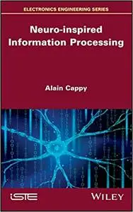 Neuro-inspired Information Processing