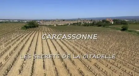 (Fr5) Carcassonne, les secrets de la citadelle (2013)