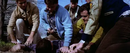 The Outsiders (1983)