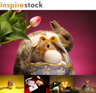 Macro Animals by Inspirestock