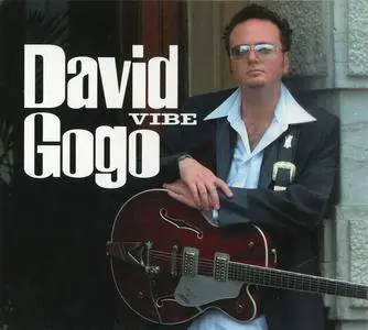 David Gogo - Vibe (2008)