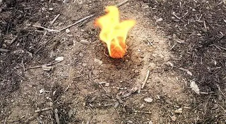 Fire Serpent (2007)