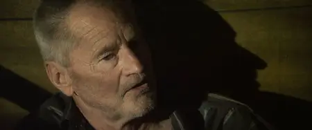 Cold In July (2014)