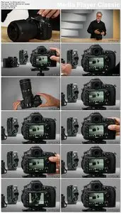 Shooting with the Nikon D800