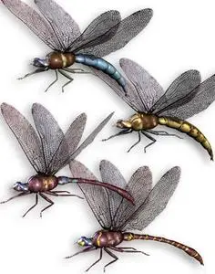 Noggin's Dragonfly Pack