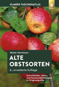 Alte Obstsorten: Schnittbilder, Stein- und Samenabbildungen in Originalgröße, 6. Auflage