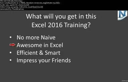 Microsoft Office Excel 2016 Basic and Advanced
