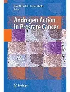 Androgen Action in Prostate Cancer